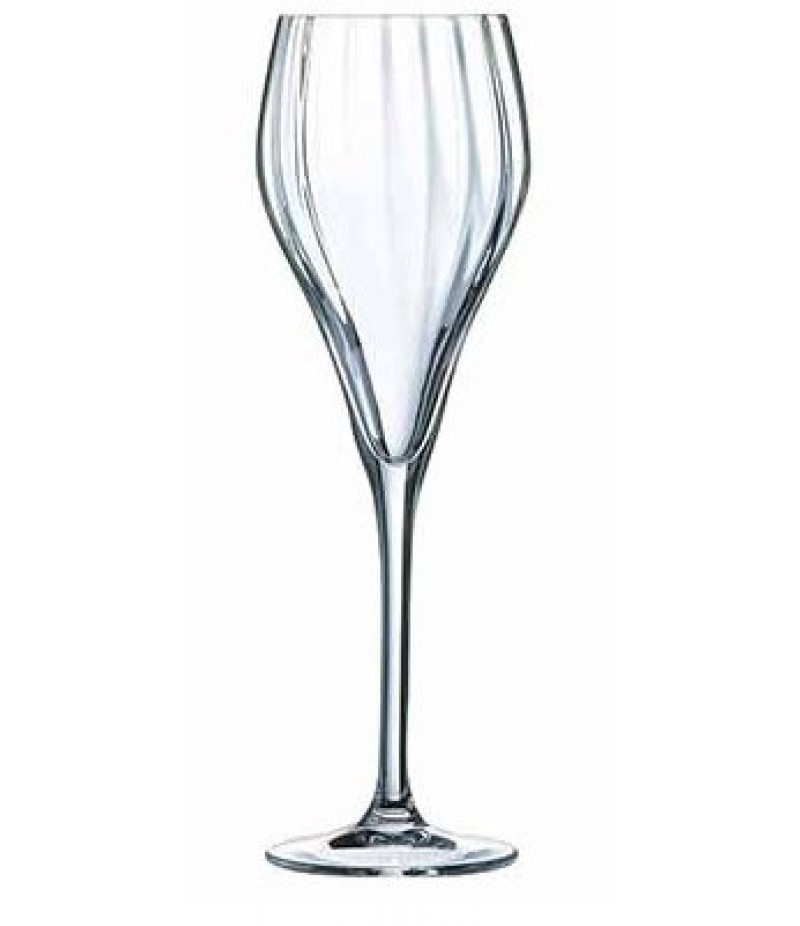 Champagneglas Symetrie  16cl Set 6 Stuks